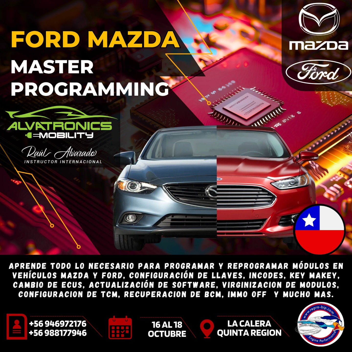 Curso ReproBip Master Programming en Ford y Mazda